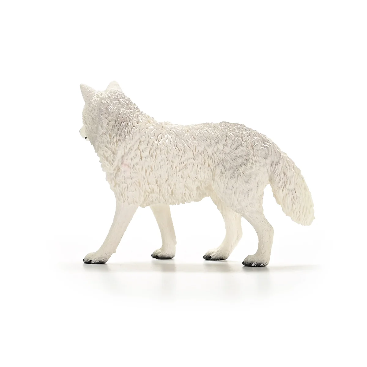 Miniature 5