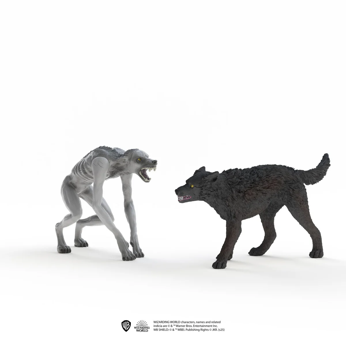 Miniature 5