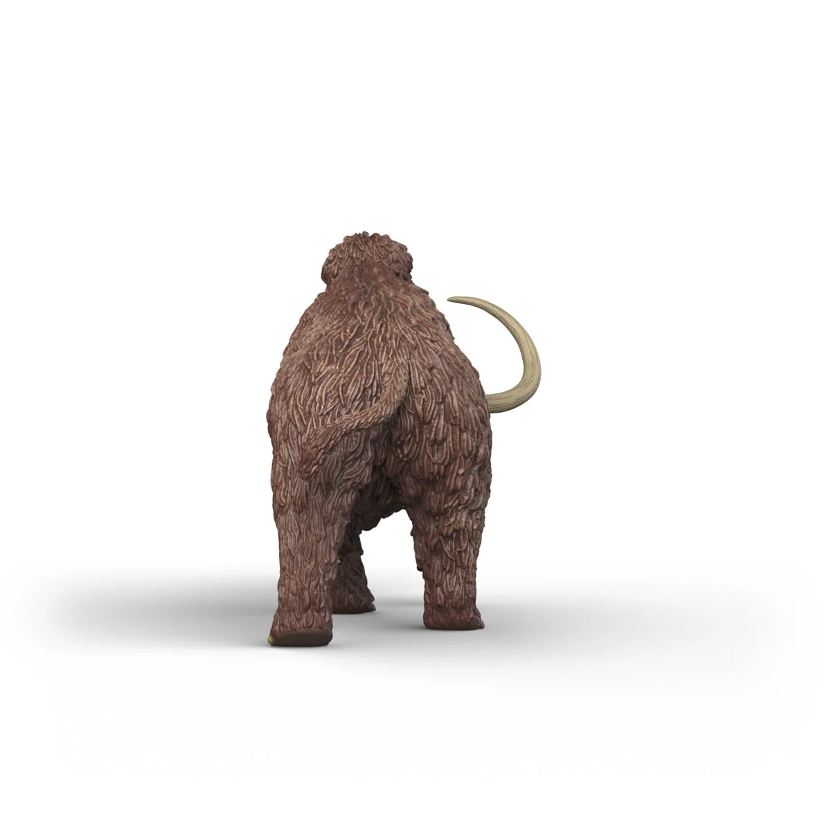 Miniature 5