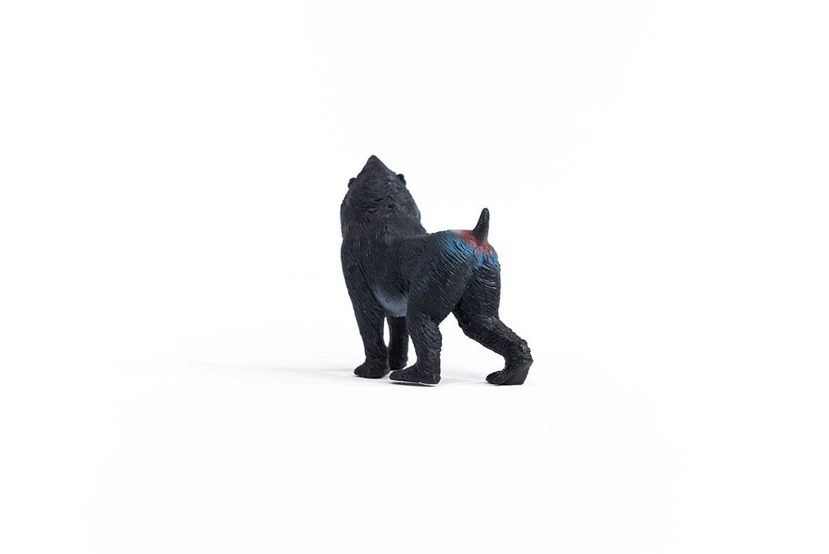 Miniature 2