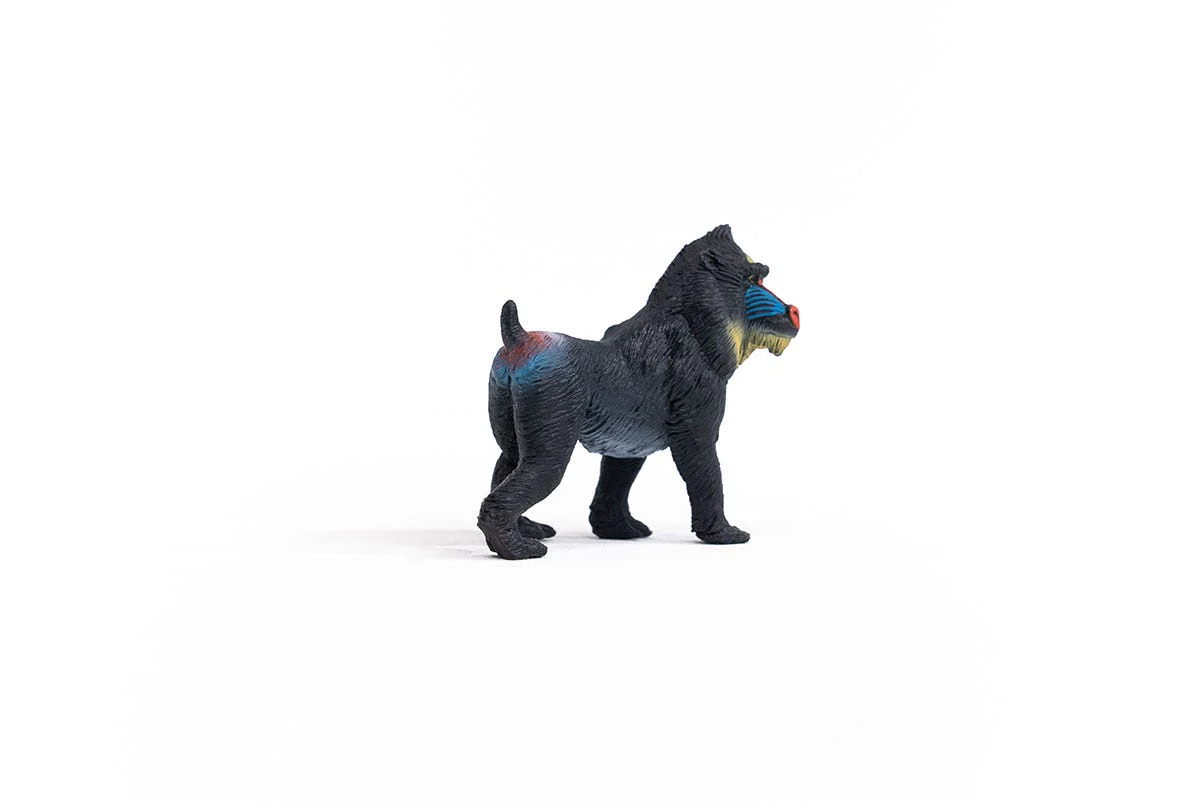 Miniature 3
