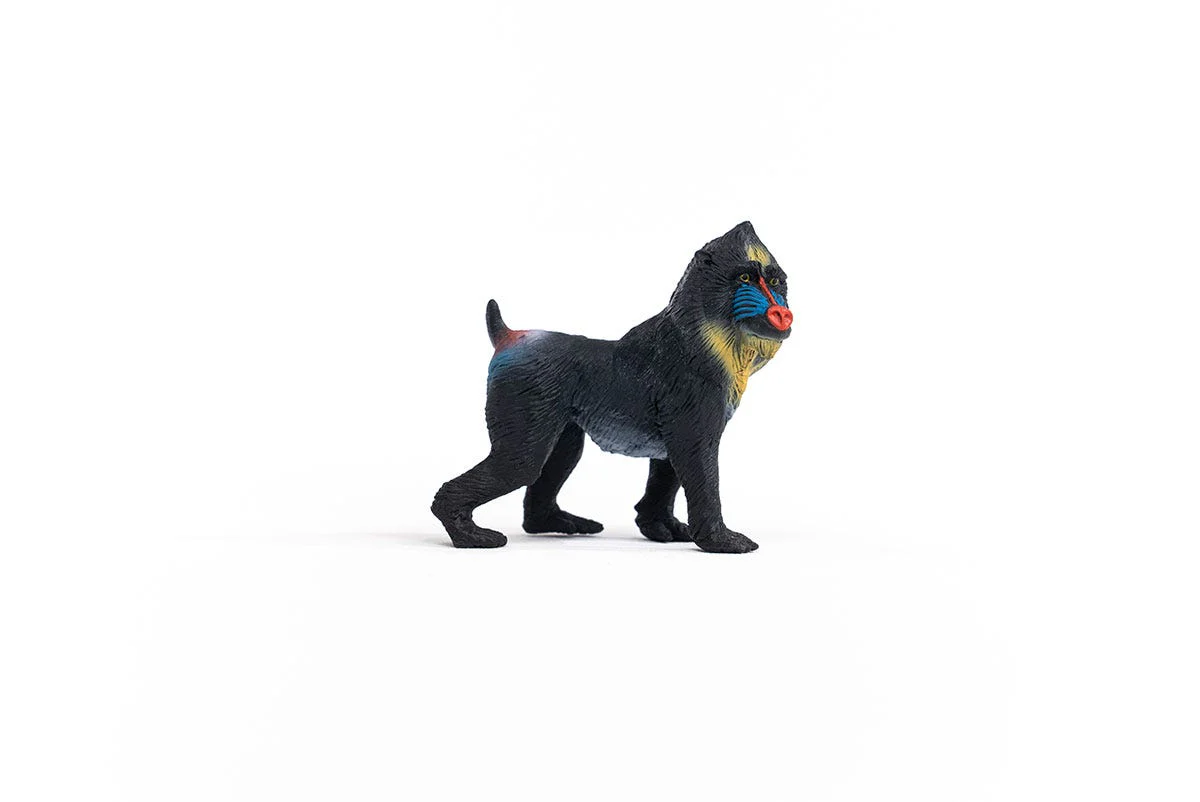 Miniature 4