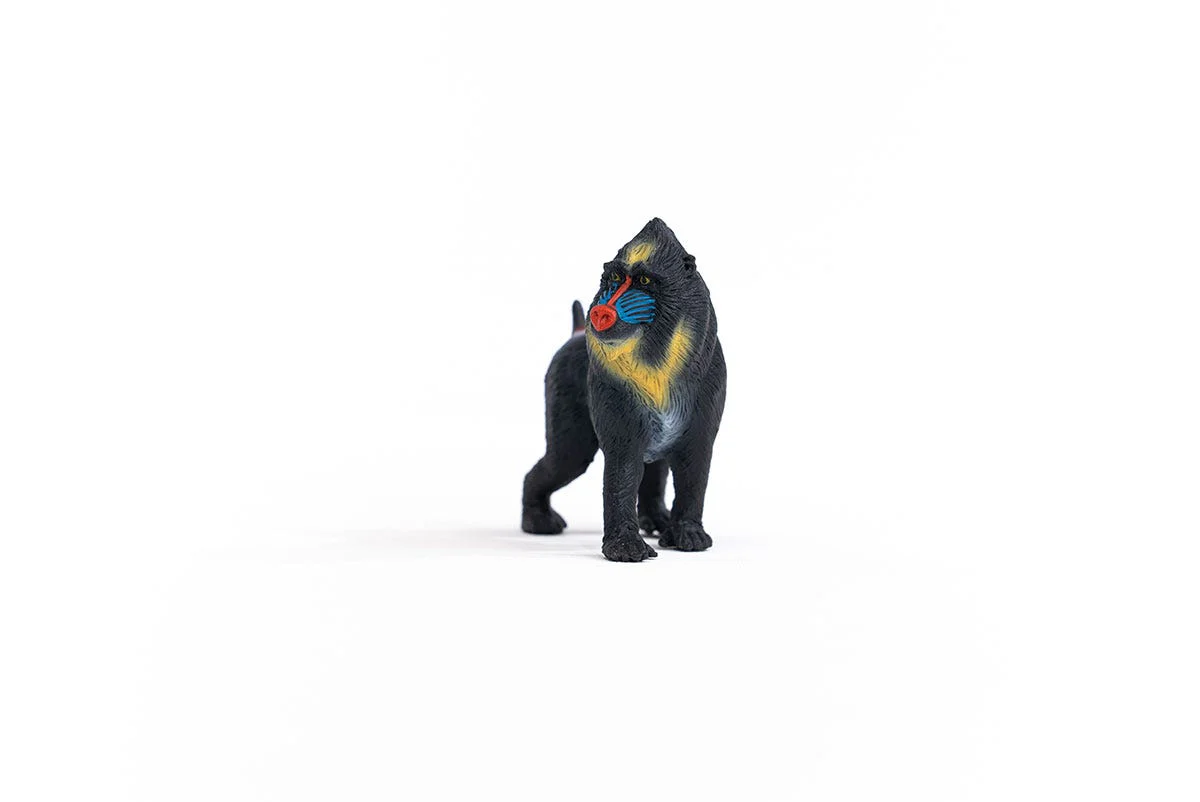 Miniature 5