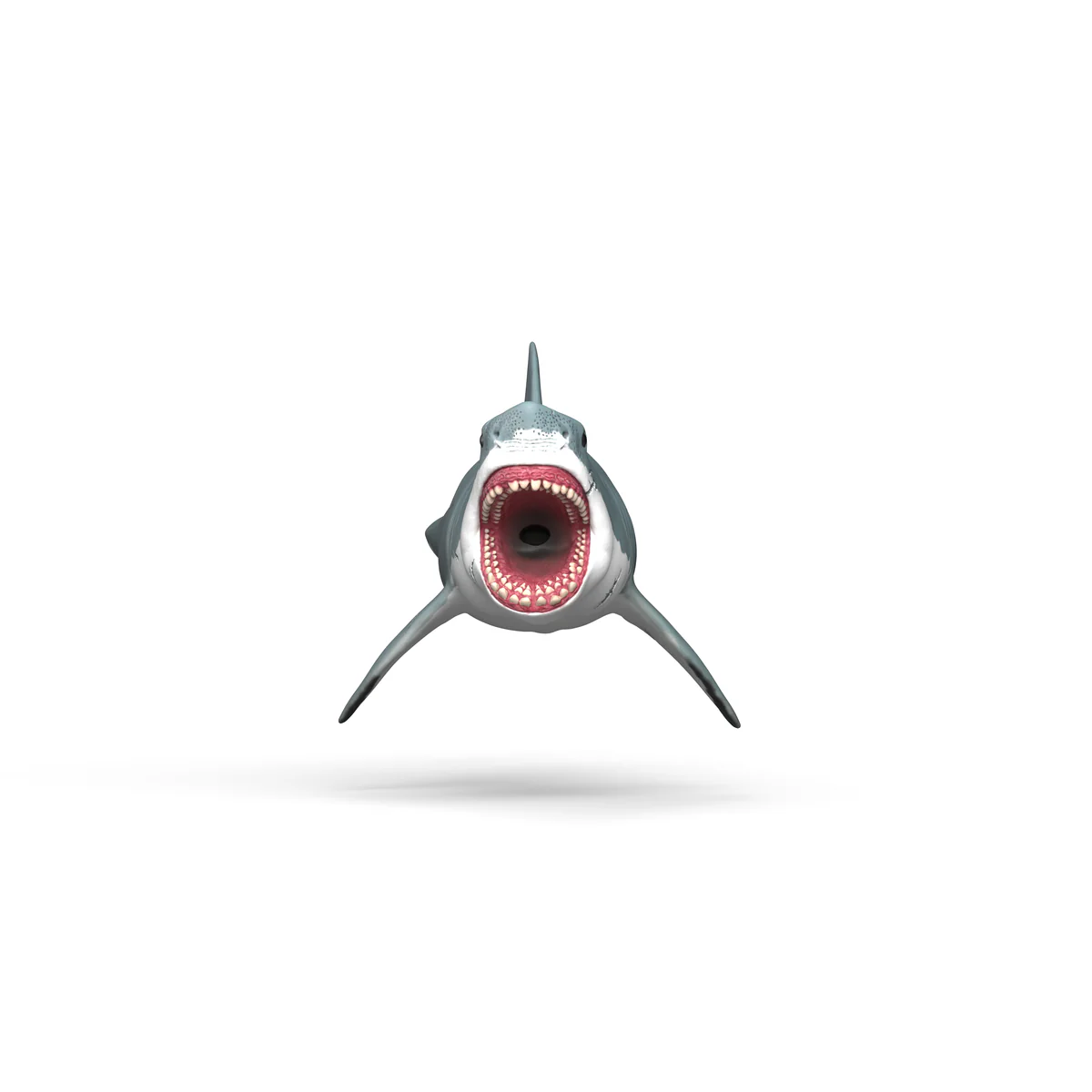 Miniature 4