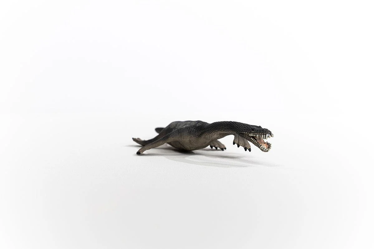 Miniature 4