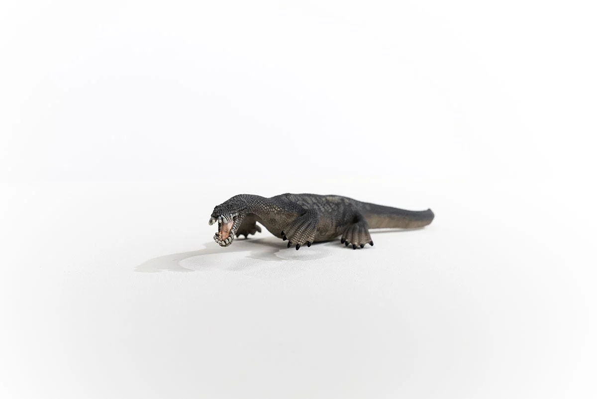 Miniature 5