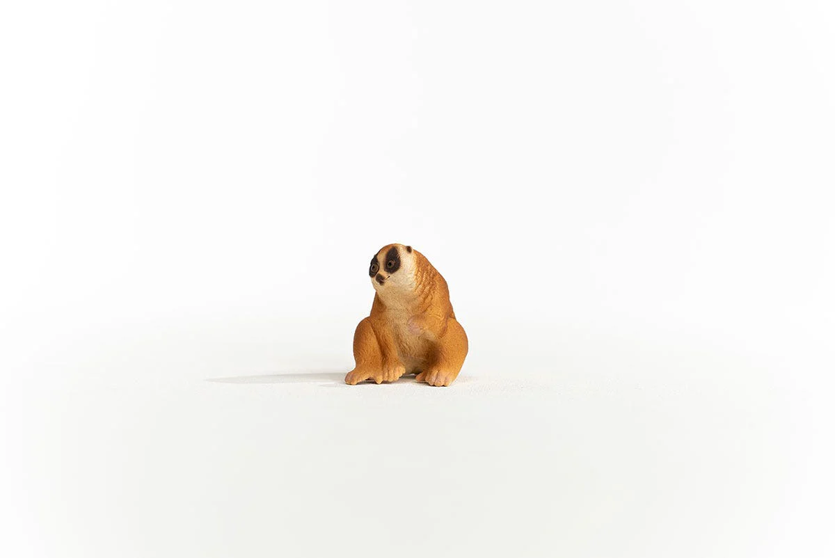Miniature 3