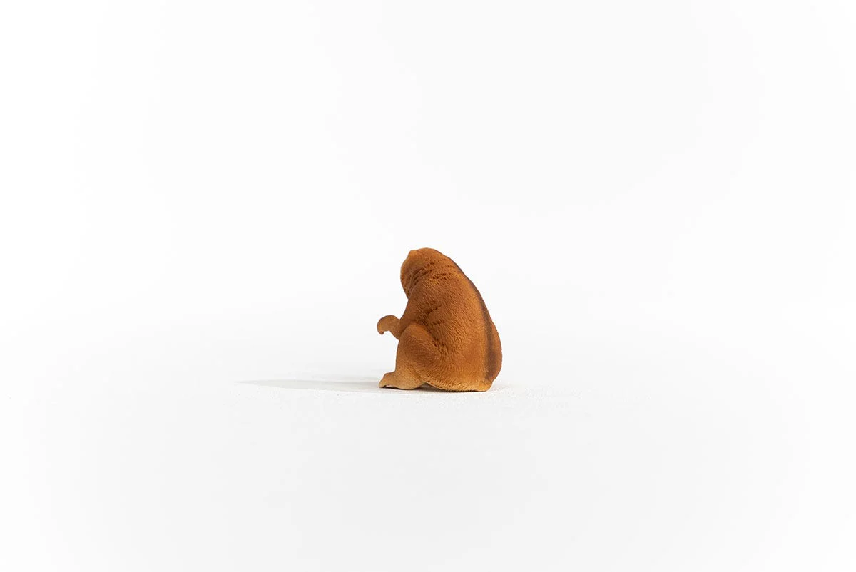 Miniature 4