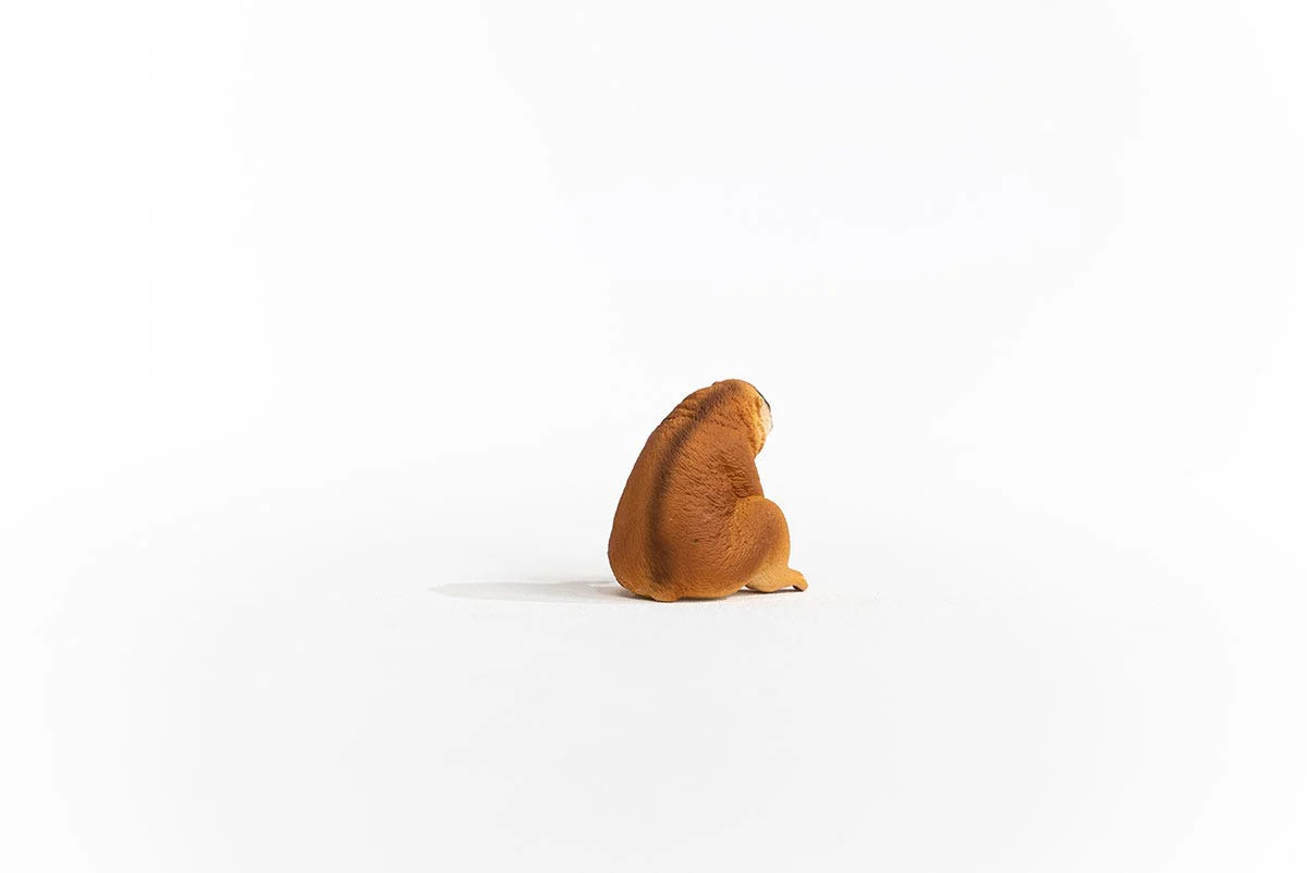 Miniature 5