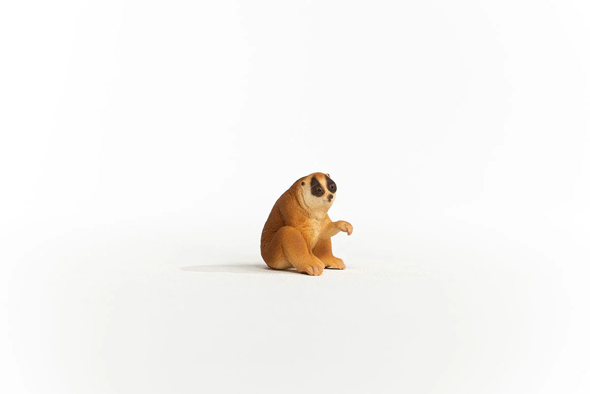 Miniature 6
