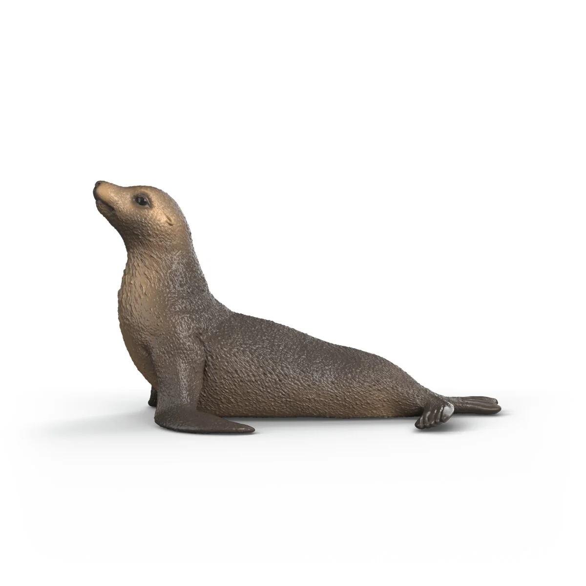Miniature 5