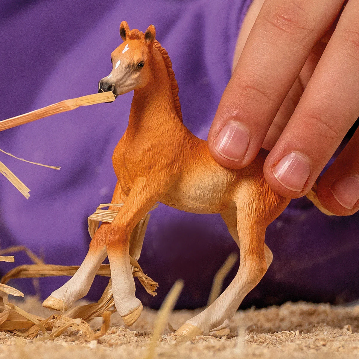 Miniature 2