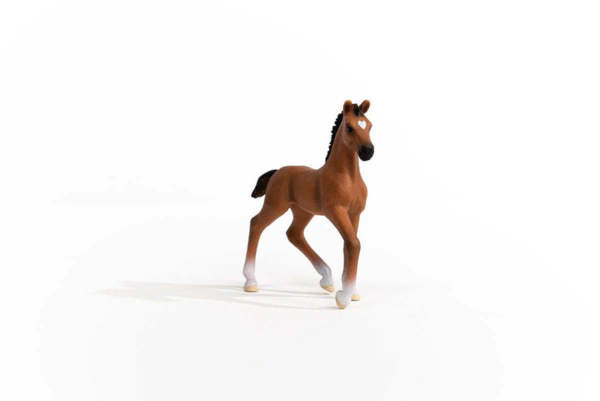 Miniature 5