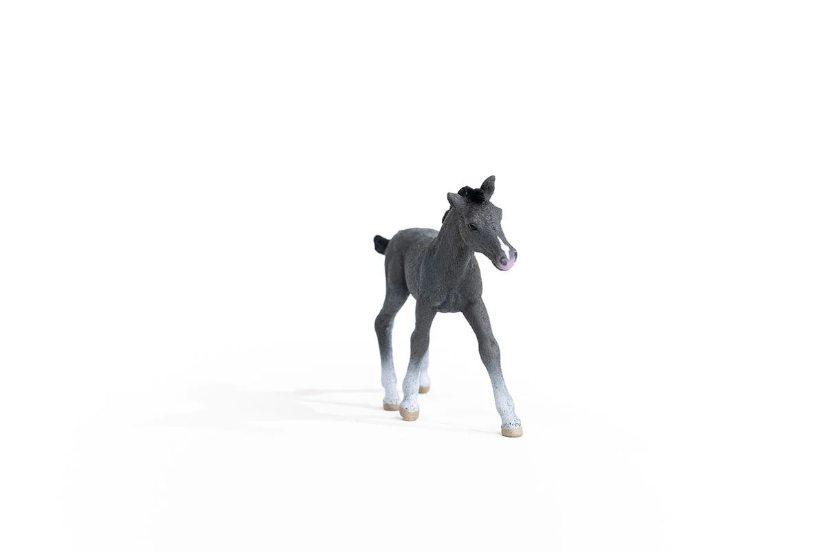 Miniature 4