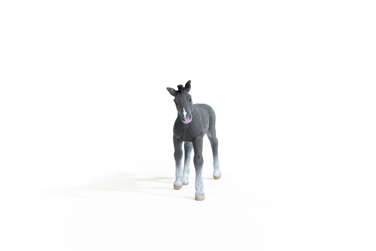 Miniature 5