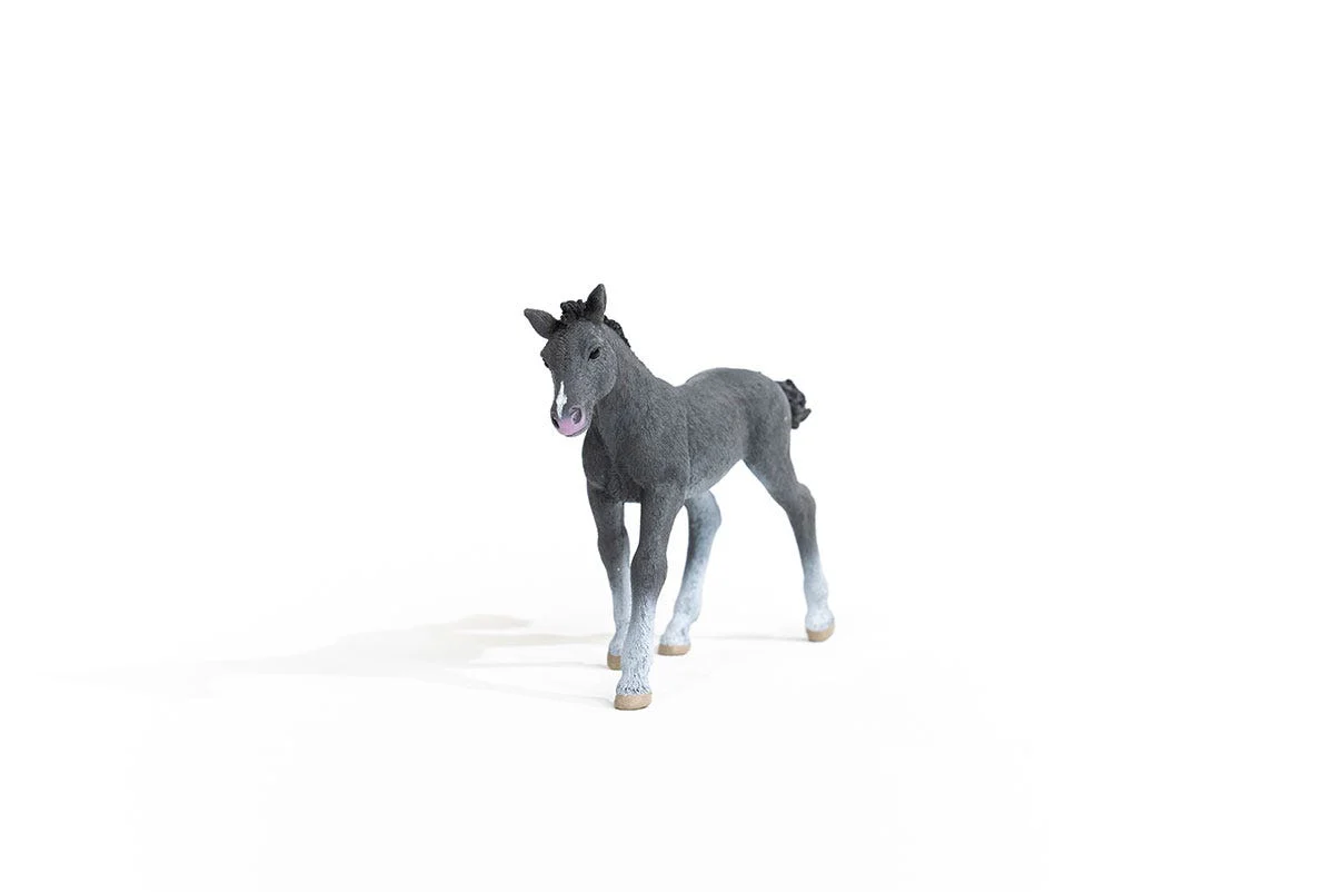 Miniature 6