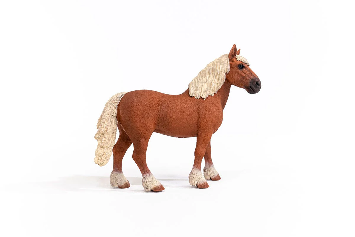 Miniature 5
