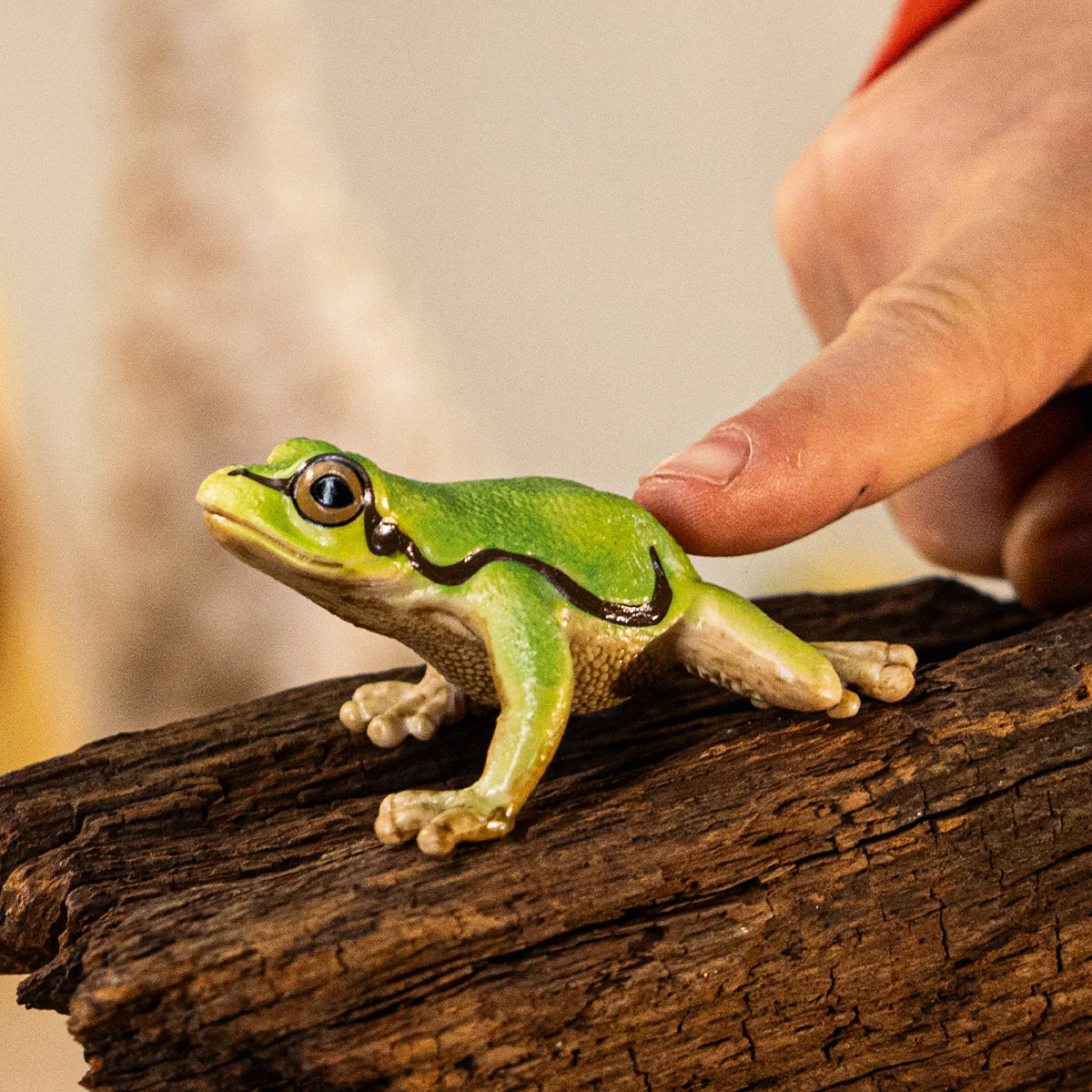 Miniature 2
