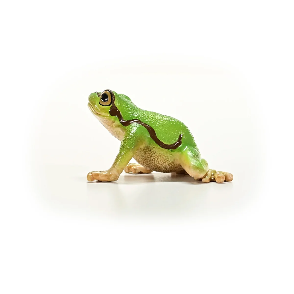 Miniature 5