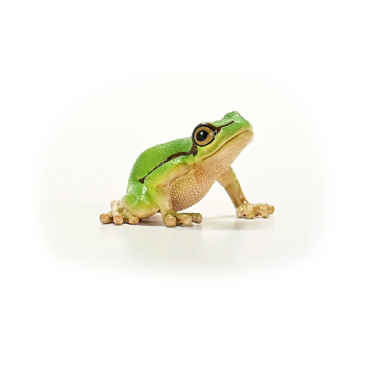 Miniature 6