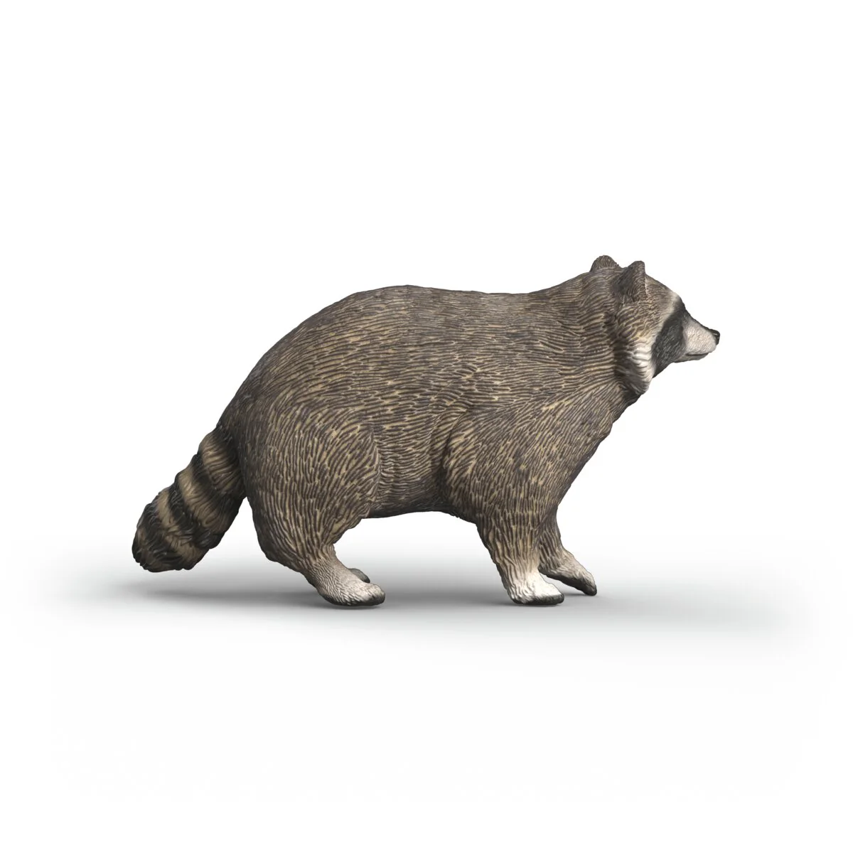 Miniature 5