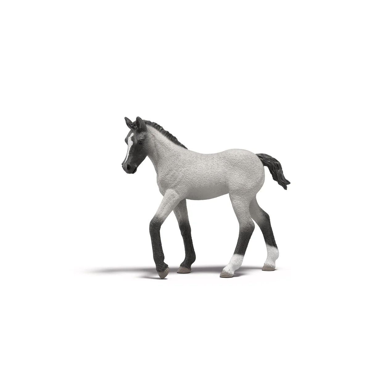 Miniature 5