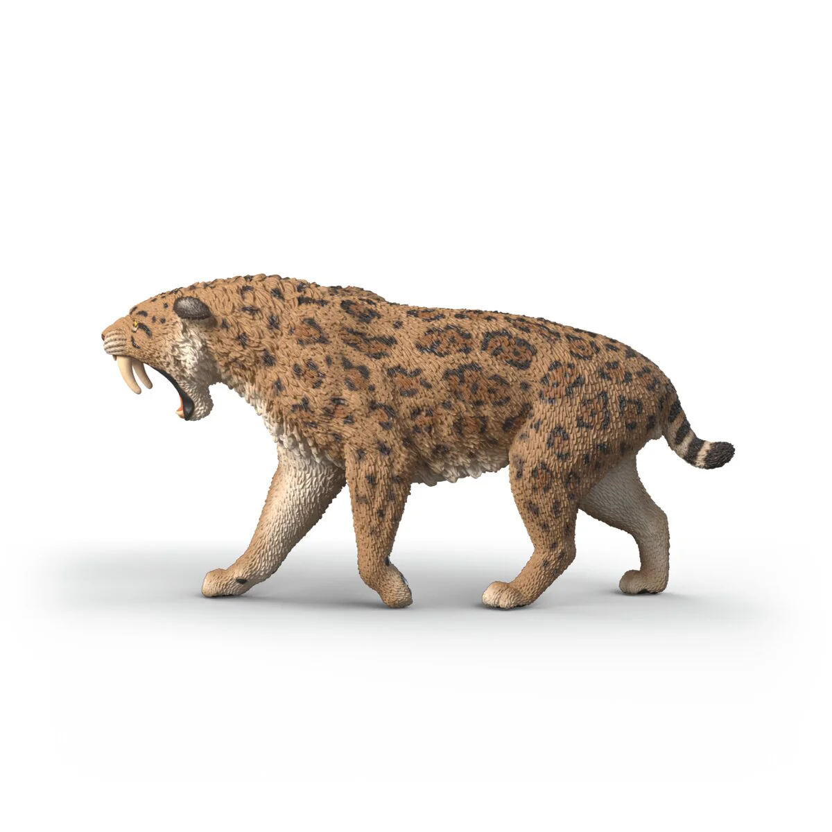 Miniature 5