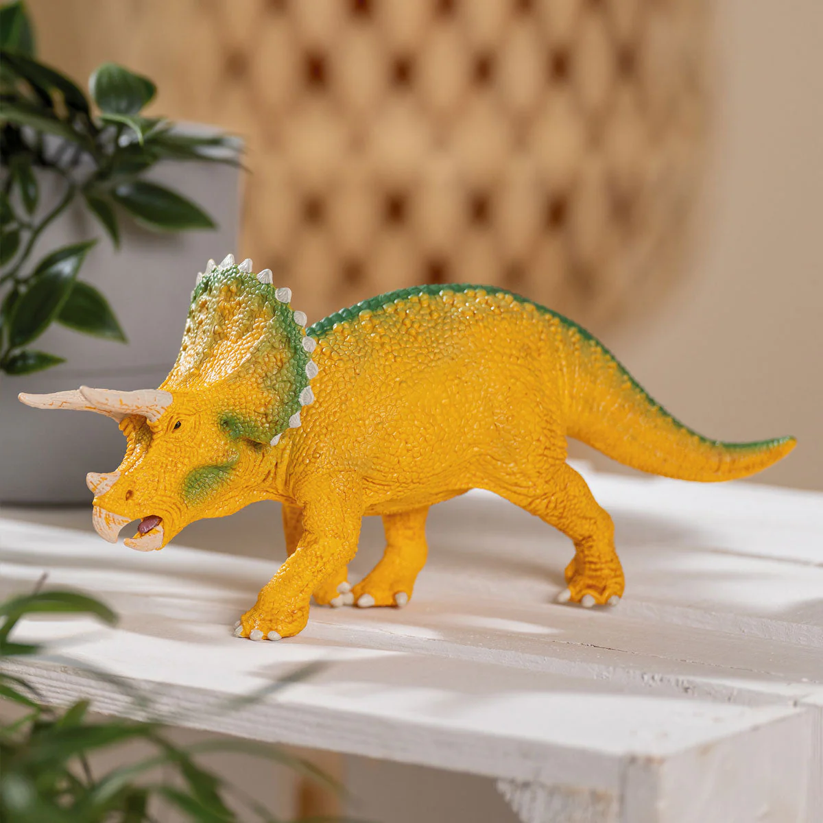 Miniature 2