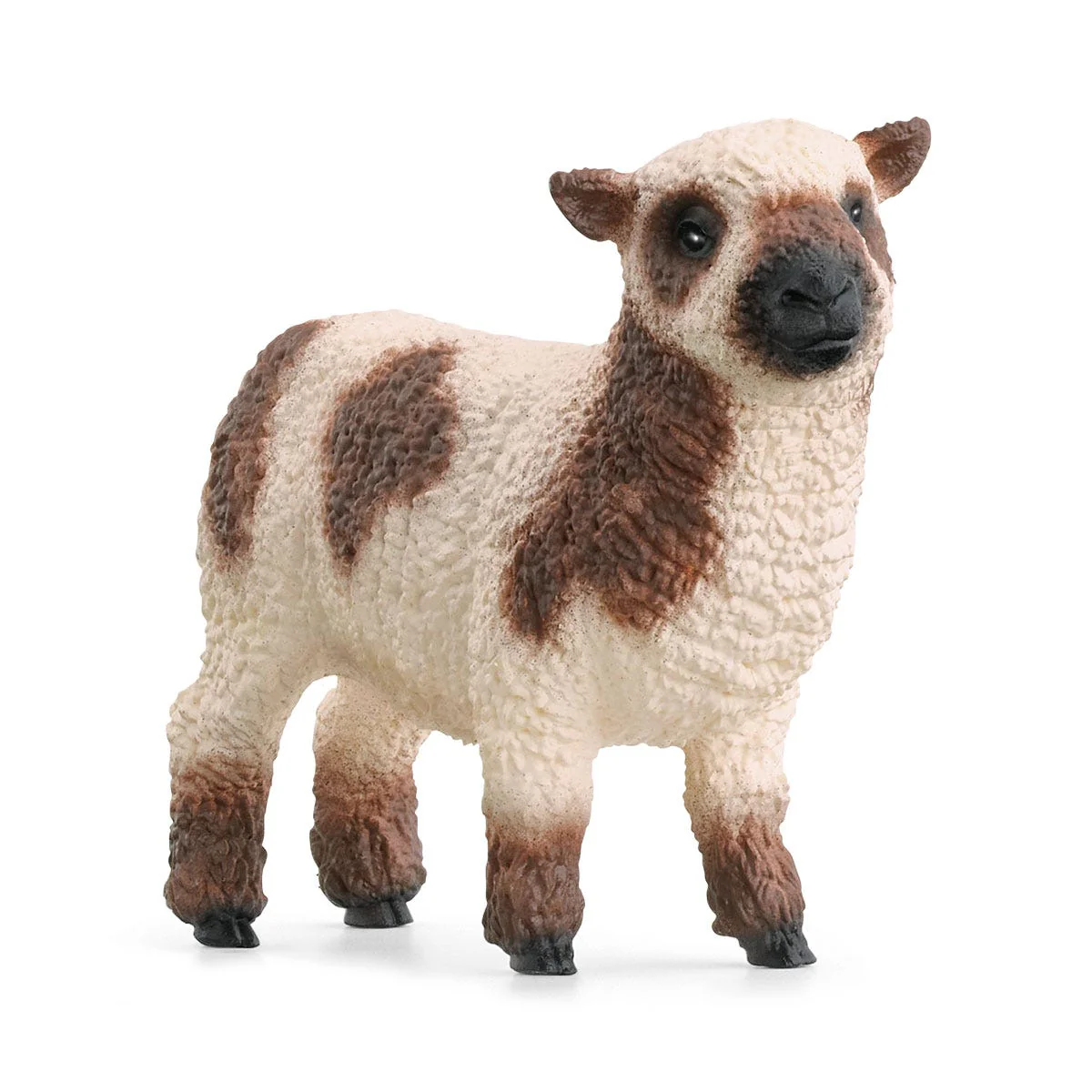 Miniature 5