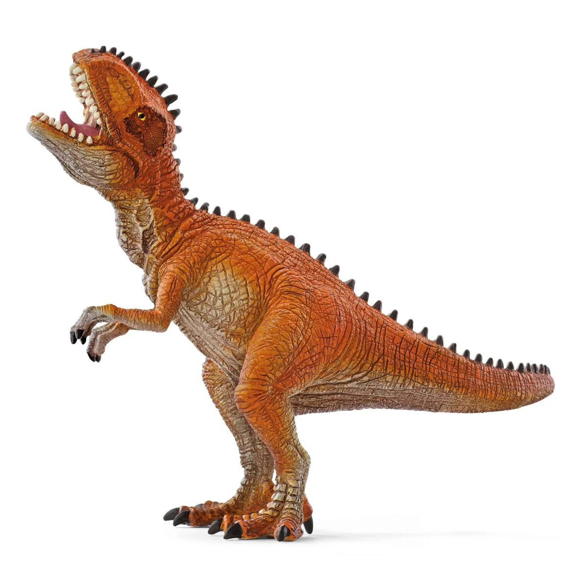 Miniature 9